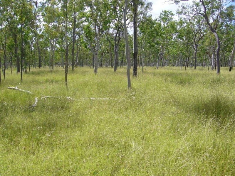 Photo - Lot 28 Normanby Road, Bowen QLD 4805 - Image 6