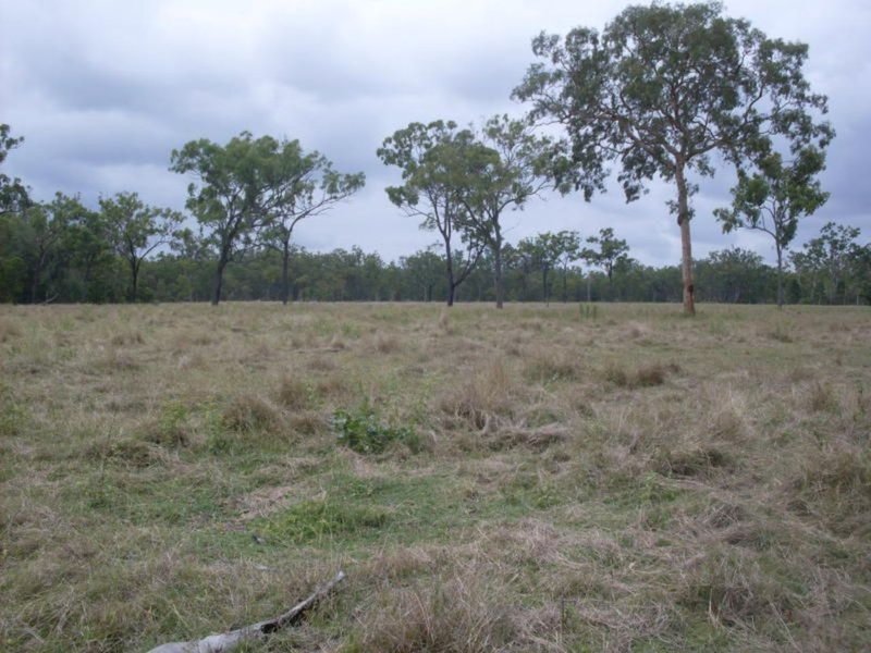 Photo - Lot 28 Normanby Road, Bowen QLD 4805 - Image 13