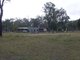 Photo - Lot 28 Normanby Road, Bowen QLD 4805 - Image 19