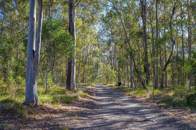 Photo - Lot 283 Tunstall Road, Charlwood QLD 4309 - Image 3