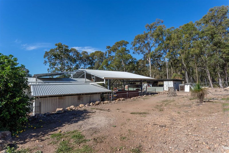 Photo - Lot 283 Tunstall Road, Charlwood QLD 4309 - Image 24