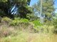 Photo - Lot 286 Happy Valley Road, Hanging Rock NSW 2340 - Image 3