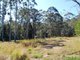 Photo - Lot 29 Mimiwali Drive, Bonville NSW 2450 - Image 6