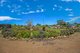 Photo - Lot 29 Murbko Road, Murbko SA 5320 - Image 5