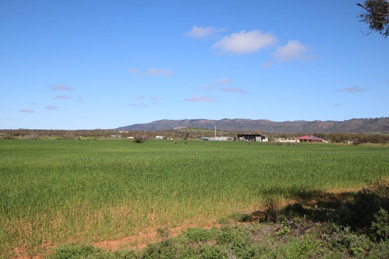 Lot 292 Stewart Road, Quorn SA 5433