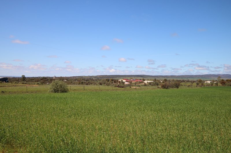 Photo - Lot 292 Stewart Road, Quorn SA 5433 - Image 4