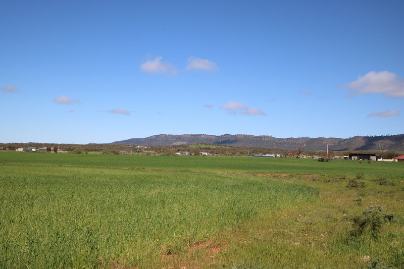 Photo - Lot 292 Stewart Road, Quorn SA 5433 - Image 5