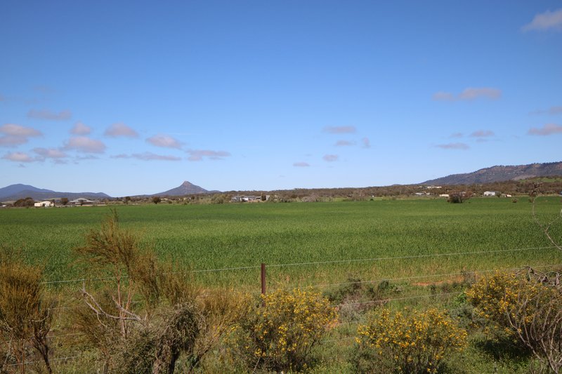 Photo - Lot 292 Stewart Road, Quorn SA 5433 - Image 7