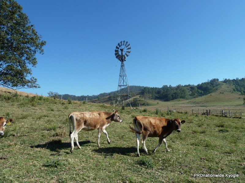 Photo - Lot 293 Apple Gum Road, Kyogle NSW 2474 - Image 3