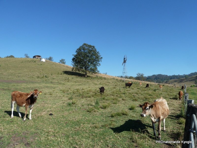 Photo - Lot 293 Apple Gum Road, Kyogle NSW 2474 - Image 4