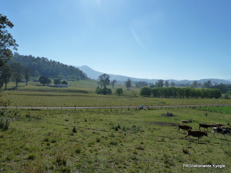 Photo - Lot 293 Apple Gum Road, Kyogle NSW 2474 - Image 6