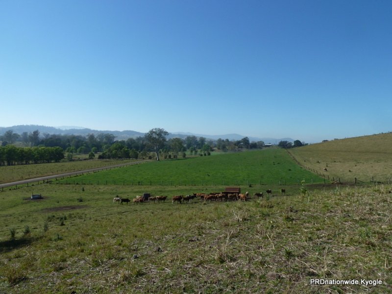 Photo - Lot 293 Apple Gum Road, Kyogle NSW 2474 - Image 8