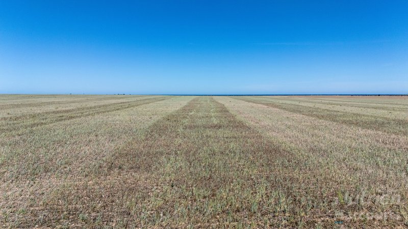 Photo - Lot 294 Gun Club Road, Koolywurtie SA 5575 - Image 1