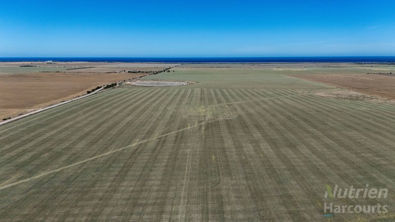 Photo - Lot 294 Gun Club Road, Koolywurtie SA 5575 - Image 2