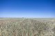 Photo - Lot 294 Gun Club Road, Koolywurtie SA 5575 - Image 6