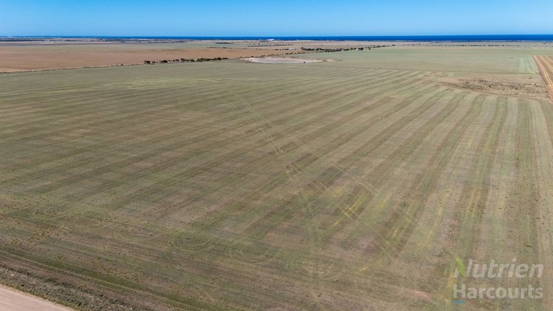 Photo - Lot 294 Gun Club Road, Koolywurtie SA 5575 - Image 8