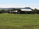 Photo - Lot 294 Sadler Way, Deepdale WA 6532 - Image 2