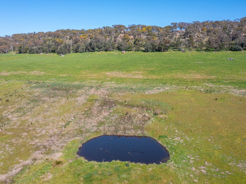 Photo - Lot 2/94 Woolshed Road, Eldorado VIC 3746 - Image 7