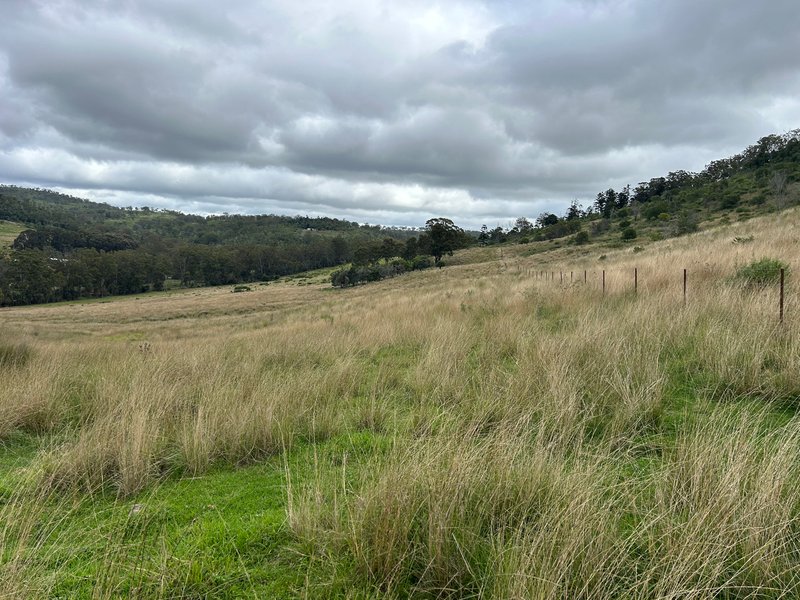 Photo - Lot 295 Schick Road, Thornville QLD 4352 - Image 6