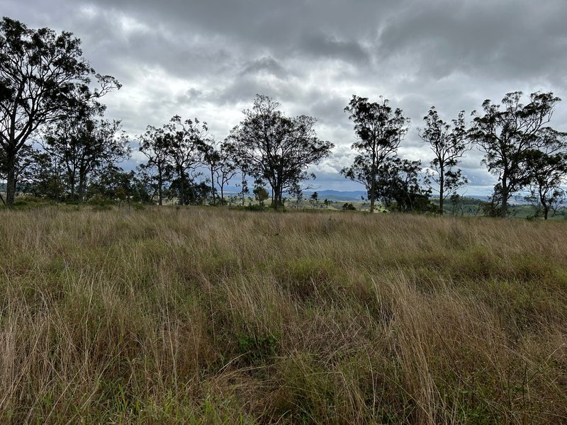 Photo - Lot 295 Schick Road, Thornville QLD 4352 - Image 18