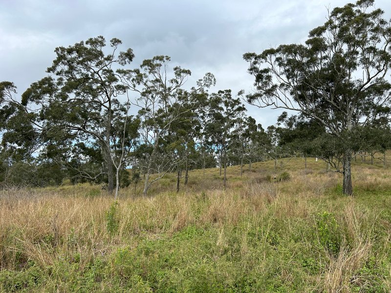 Photo - Lot 295 Schick Road, Thornville QLD 4352 - Image 19