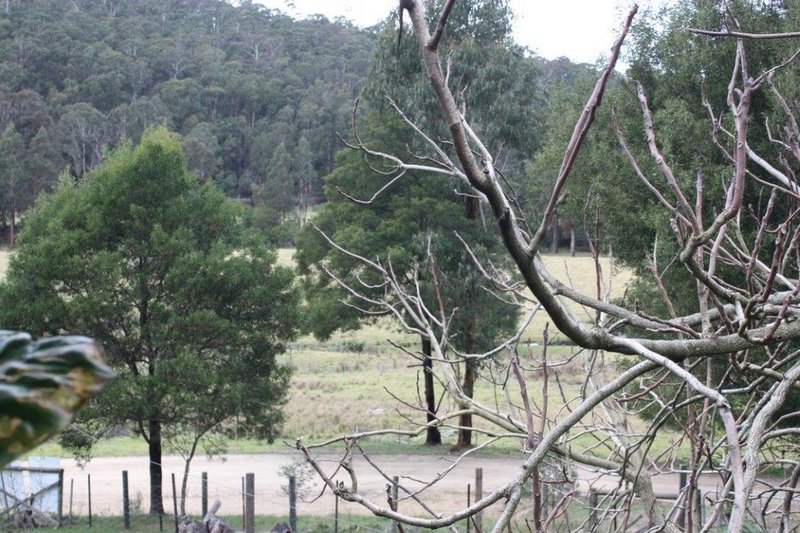 Photo - Lot 2/979 West Cann Road, Cann River VIC 3890 - Image 14