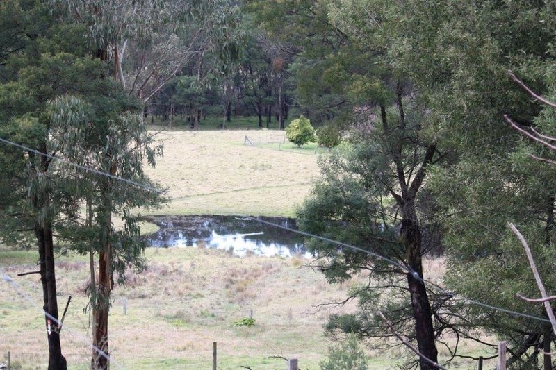 Photo - Lot 2/979 West Cann Road, Cann River VIC 3890 - Image 15