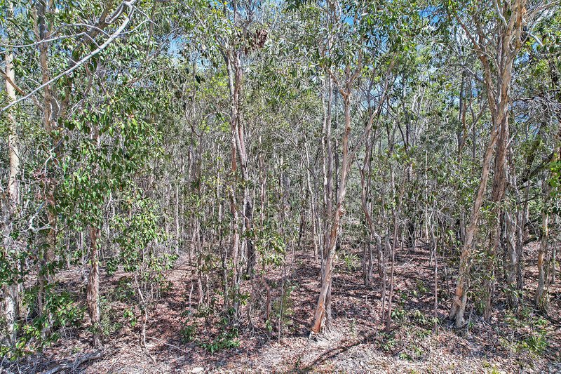 Photo - Lot 299 Masthead Drive, Agnes Water QLD 4677 - Image 6