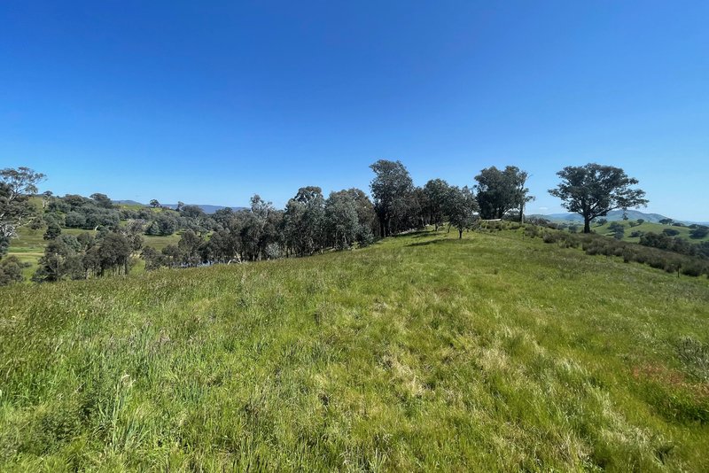 Photo - Lot 2A, 13B Cummins Road, Mansfield VIC 3722 - Image 6