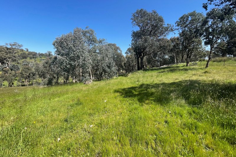 Photo - Lot 2A, 13B Cummins Road, Mansfield VIC 3722 - Image 7