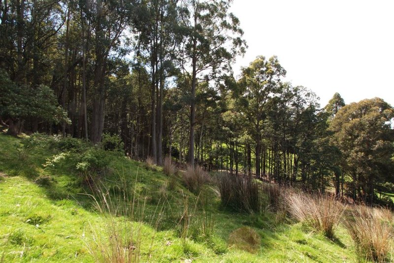 Photo - Lot 2/Lot 2/674 Leslie Road, Leslie Vale TAS 7054 - Image 4