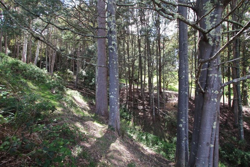 Photo - Lot 2/Lot 2/674 Leslie Road, Leslie Vale TAS 7054 - Image 7