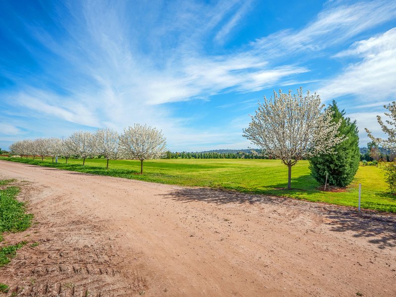 Lot 3 (11)/110D Calabria Road, Griffith NSW 2680