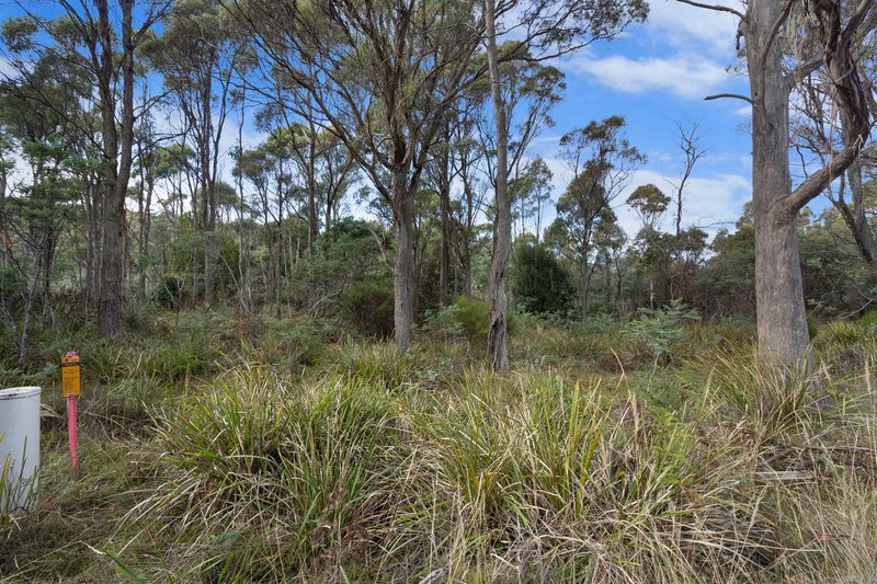 Photo - Lot 3 1247 Bridgenorth Road, Rosevale TAS 7292 - Image 6