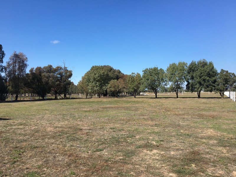 Photo - Lot 3 - 144 Racecourse Road, Benalla VIC 3672 - Image 4