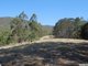 Photo - Lot 3 - 20 Upper Buckrabendinni Road, Buckra Bendinni NSW 2449 - Image 3