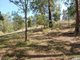 Photo - Lot 3 - 20 Upper Buckrabendinni Road, Buckra Bendinni NSW 2449 - Image 6