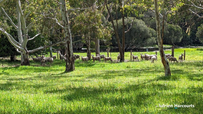 Photo - Lot 3 40 Lefroy Street, Gingin WA 6503 - Image 7