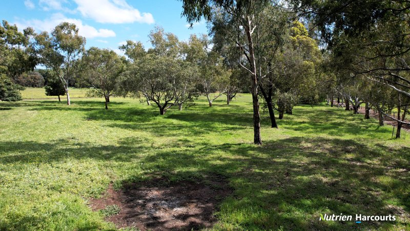 Photo - Lot 3 40 Lefroy Street, Gingin WA 6503 - Image 8