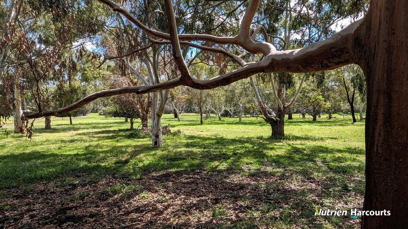 Photo - Lot 3 40 Lefroy Street, Gingin WA 6503 - Image 9