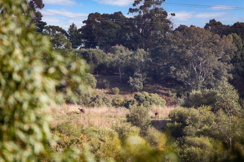 Photo - Lot 3 695 Main Road, Chandlers Hill SA 5159 - Image 3