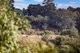 Photo - Lot 3 695 Main Road, Chandlers Hill SA 5159 - Image 3