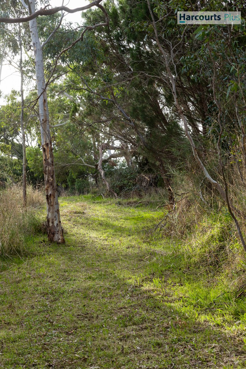 Photo - Lot 3 695 Main Road, Chandlers Hill SA 5159 - Image 4