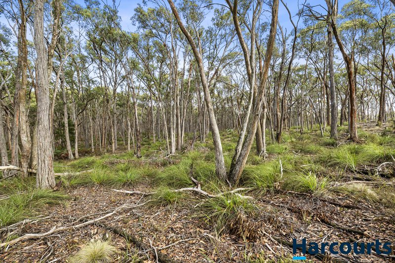 Photo - Lot 3 82 Miners Hut Road, Haddon VIC 3351 - Image 4