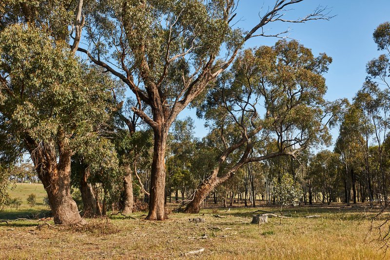 Lot 3 AxedaleCrosbie Road, Toolleen VIC 3551 Real Estate Industry Partners