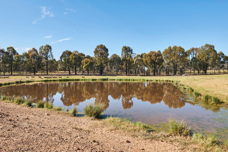 Lot 3 AxedaleCrosbie Road, Toolleen VIC 3551 Real Estate Industry Partners