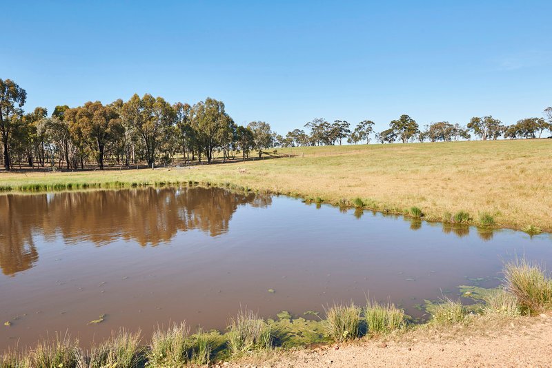 Lot 3 AxedaleCrosbie Road, Toolleen VIC 3551 Real Estate Industry Partners