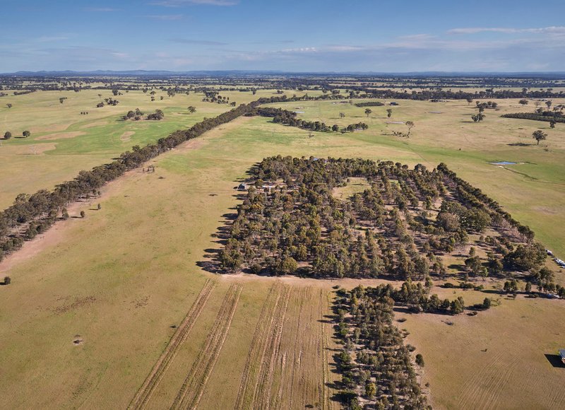 Lot 3 AxedaleCrosbie Road, Toolleen VIC 3551 Real Estate Industry Partners