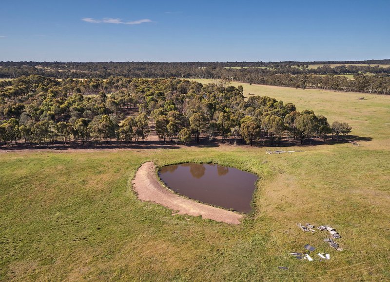 Lot 3 AxedaleCrosbie Road, Toolleen VIC 3551 Real Estate Industry Partners