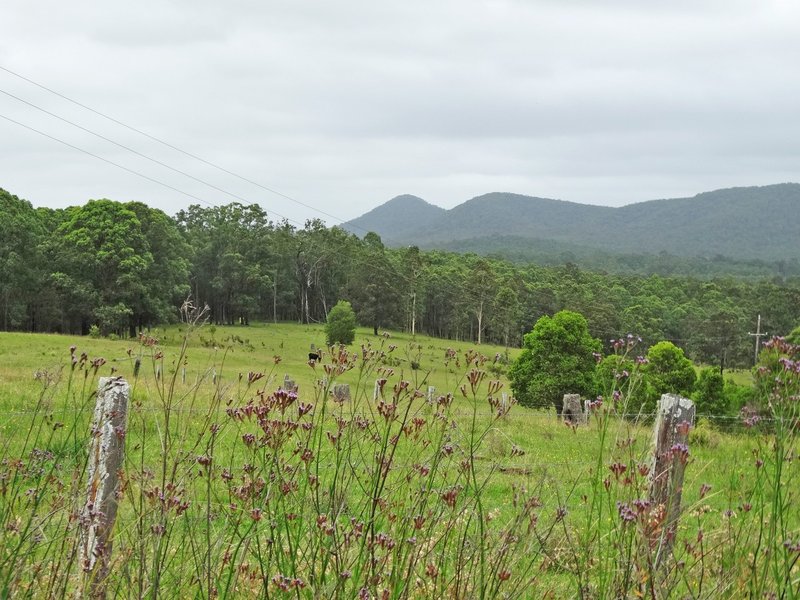 Lot 3 Booral Road, Girvan NSW 2425 Real Estate Industry Partners